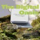 Floral Mockup Device - VideoHive Item for Sale