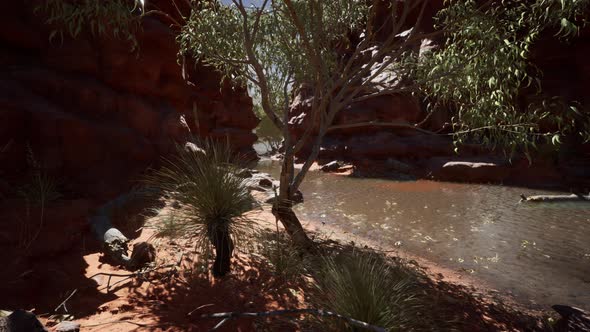 Redwall Reflection in Colorado River