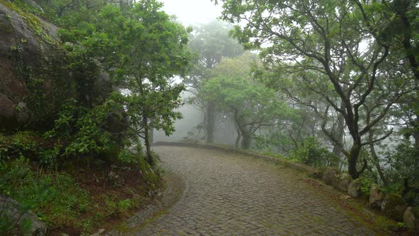 Pena Park Stone Road - Grounds of Maze and Romantics Paths