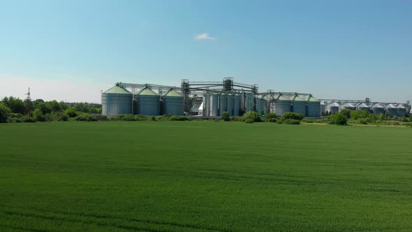Green Field on the Background of Grain Elevators
