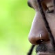 Neutral Expression Young African American Man in Nature Setting Face Close Up - VideoHive Item for Sale
