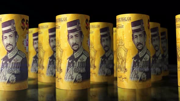 Brunei dollar money banknotes rolls seamless loop