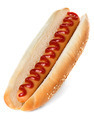 Hot Dog - PhotoDune Item for Sale