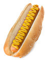 Hot Dog - PhotoDune Item for Sale