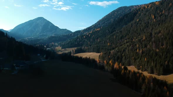 Beautiful Drone Aerial View on Mountain Range Full of Tall Pine Trees