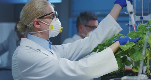 Scientist Experimenting with a Green Plant