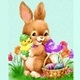 Happy Easter Bunny