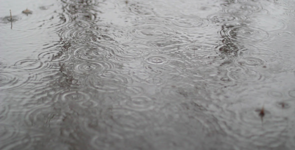 Rain Falls In City 2 alt