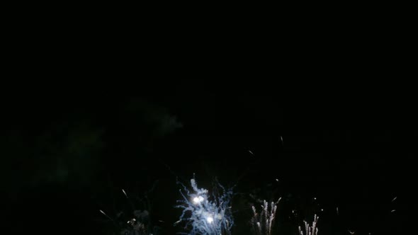 Colorful Firework display at night on sky background alt
