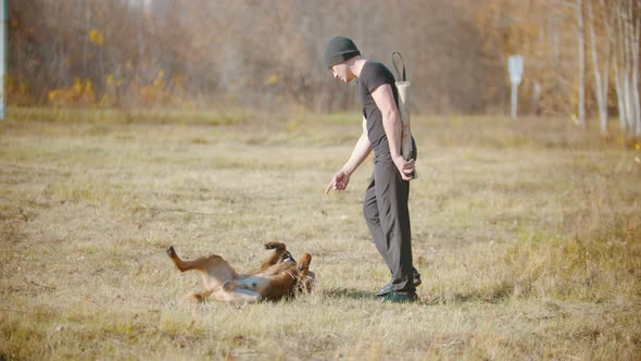 A Man Training His German Shepherd Dog To Roll Over