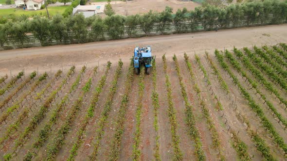 Zoom out aerial view of a blue grape harvester in Talagante, Maipo Valley, Chile.