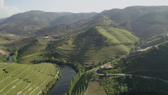 Quinta do Tedo drone view of s shape bend river in Douro wine region, in Portugal