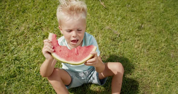Little Boy Sitting in Green Grass and Eating Big Slice of Fresh Red Watermelon