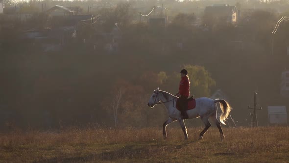 Jockey Riding on Thoroughbred White Stallion