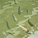 Fish in The Pond - VideoHive Item for Sale