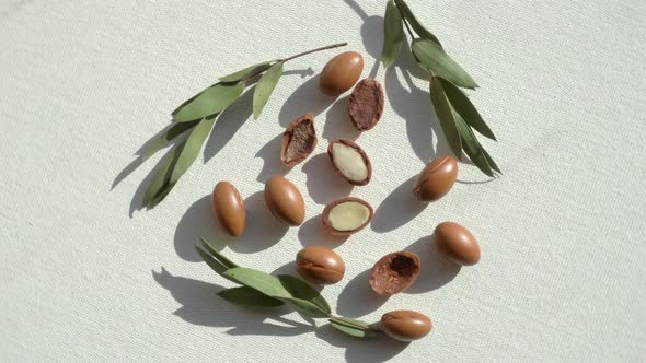 Argan Seeds on a White Background