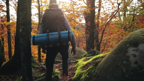 A Man is Walking Through the Autumn Forest