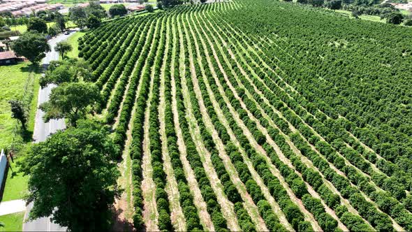 Farming landscape at countryside rural scenery.