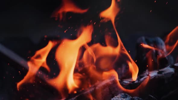 Bonfire. Burning logs in orange flames. Beautiful fire burns brightly. Slow motion