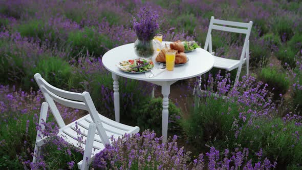 Food Served on Table in Lavender Field