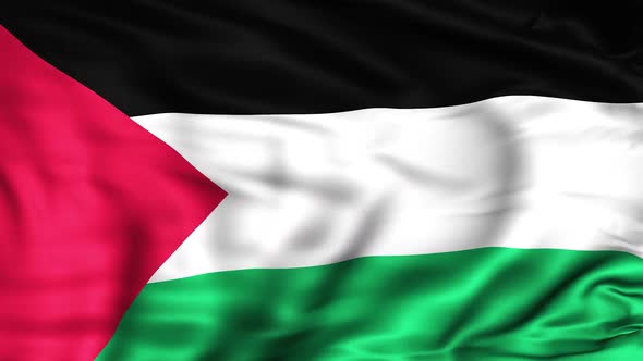 Palestine Flag