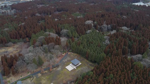 The Aerial view of Kumamoto