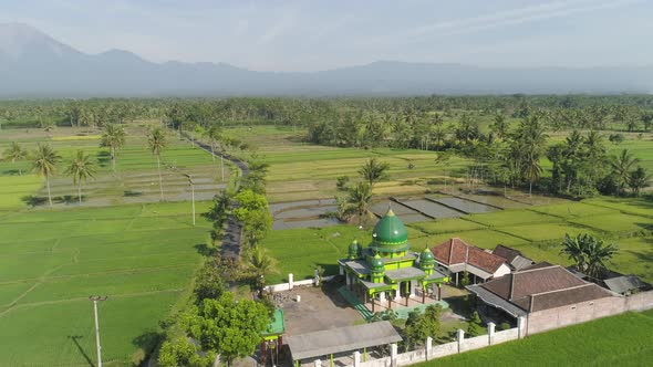 Mosque Among Rice Fields Java Indonesia