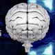 The top of brain against a binary codes and graphics - VideoHive Item for Sale