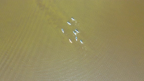 Aerial View of Group of People Kayaking