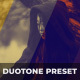 Duotone Effects - VideoHive Item for Sale