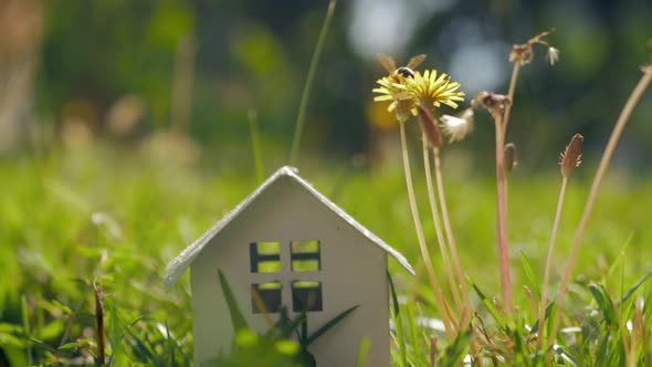 Eco home and living Metaphor with small house in green grass