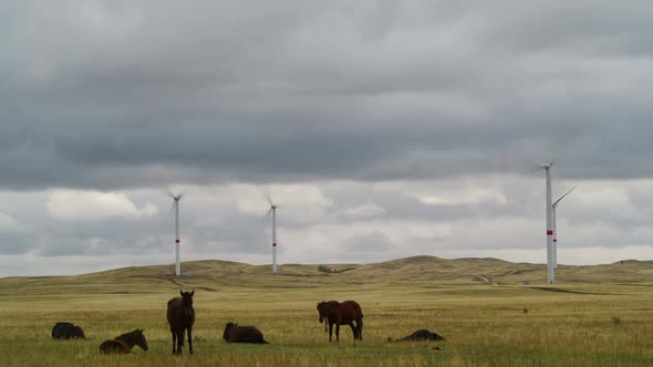 Wind Turbine in a Field Against a Background of Cloudy Grey Sky on the Horizon with a Beautiful