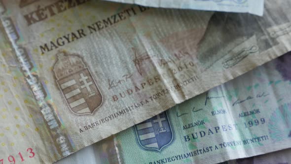 Forints Hungarian   papper money banknotes arranged slow tilt 4K 2160p UltraHD footage - slow tilt o