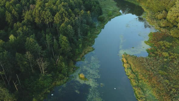 Winding River In The City Park. City Park At Dawn. Aerial Photography..