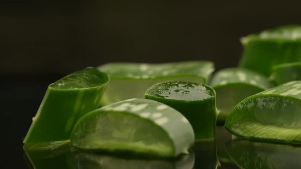 Aloe Vera Slices11