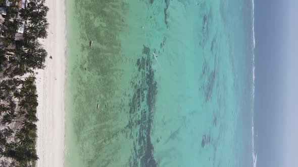 Vertical Video Boats in the Ocean Near the Coast of Zanzibar Tanzania Aerial View