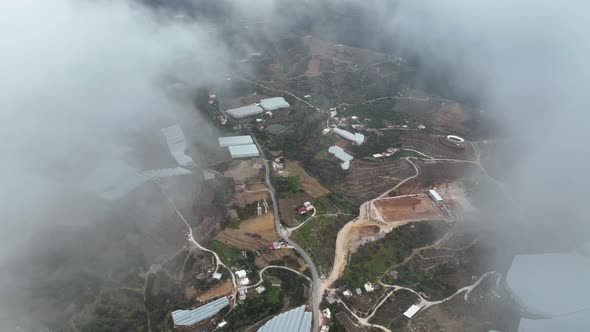 Banana greenhouse aerial view