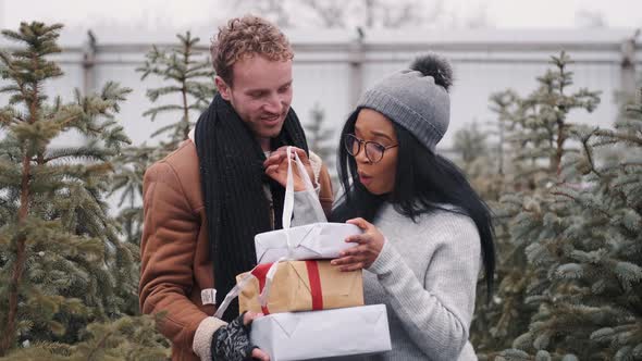 Happy Multiracial Couple Exchanging Gifts at Sprue Trees Market
