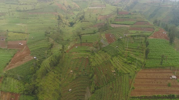 Tropical Landscape with Farmlands in Mountains