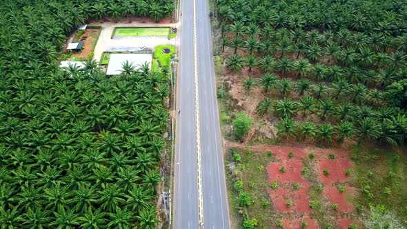 Aerial Shot of People Driving Motorbikes on a Road Krabi Thailand