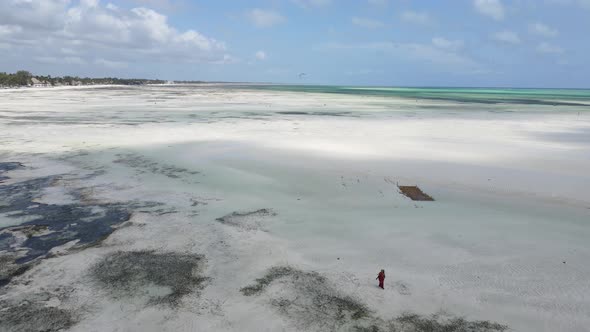 Zanzibar Tanzania  Aerial View of the Indian Ocean