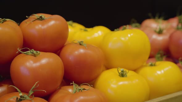 Red and Yellow Tomatoes Lying on Shelf in Grocery. Camera Moving Along Assortment of Healthful Fresh