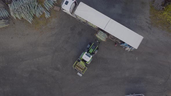 Wrapped Norwegian spruce trees being loaded on truck with tractor