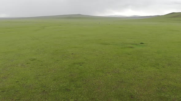 Vast Large Meadow After the Rain