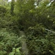 River In The Forest - 4k - VideoHive Item for Sale