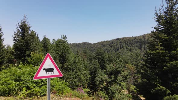 Cow Traffic Sign