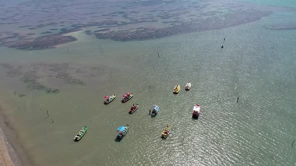 Northeast Brazil. Panorama landscape of beach natural pools.