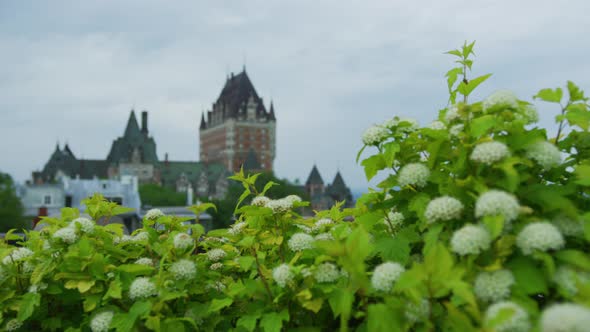 Chateau Frontenac and a flower bush