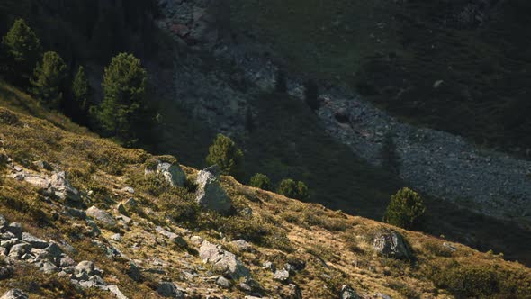 The Austrian Alps