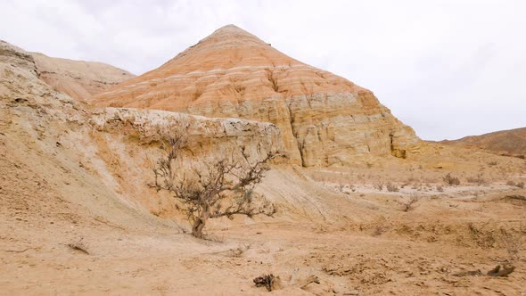 Drone Shot of Tree in Desert Mountains Aktau in Kazakhstan